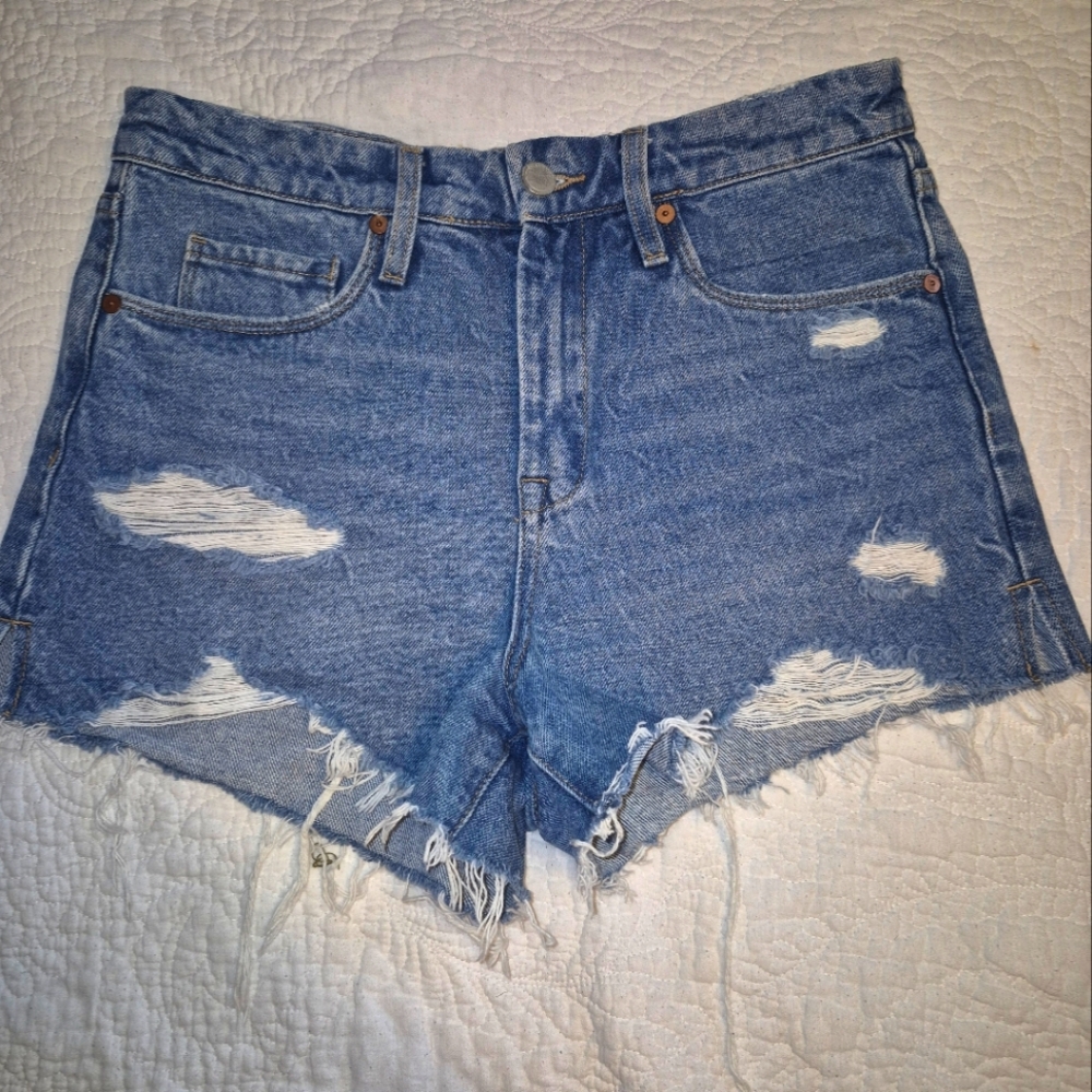 Blank NYC Size 28 Denim Shorts